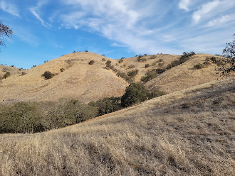 Old Borges Ranch