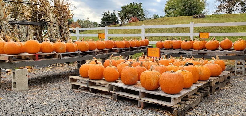 Norview Farm Park