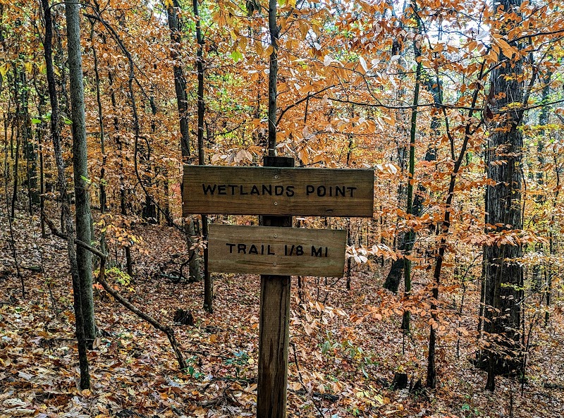 Wildwood Preserve — Hiking with Kids in Birmingham