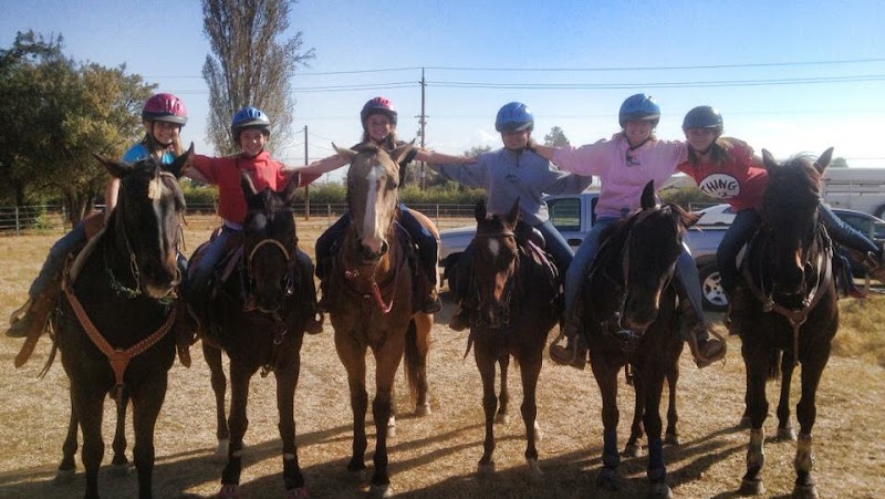 Copperwood Training Stables — Summer Camps in Fresno