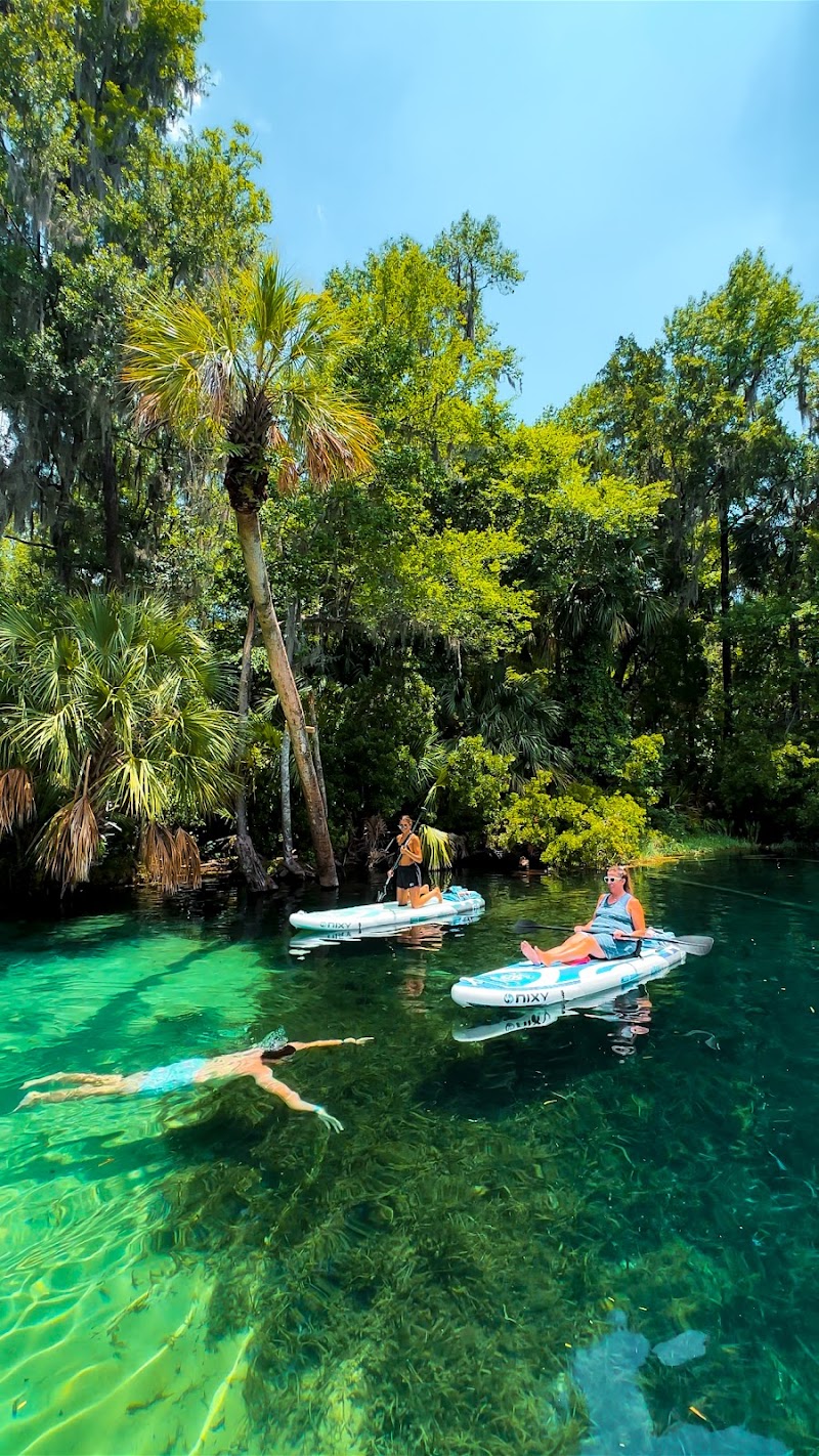 Otter Paddle Orlando — Kayaking for Kids in Orlando