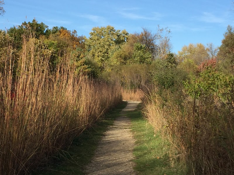 Edna Taylor Conservation Park — Hiking with Kids in Madison