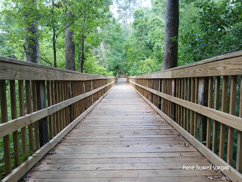 Tillie Fowler Park Loop Trailhead — Hiking with Kids in Jacksonville