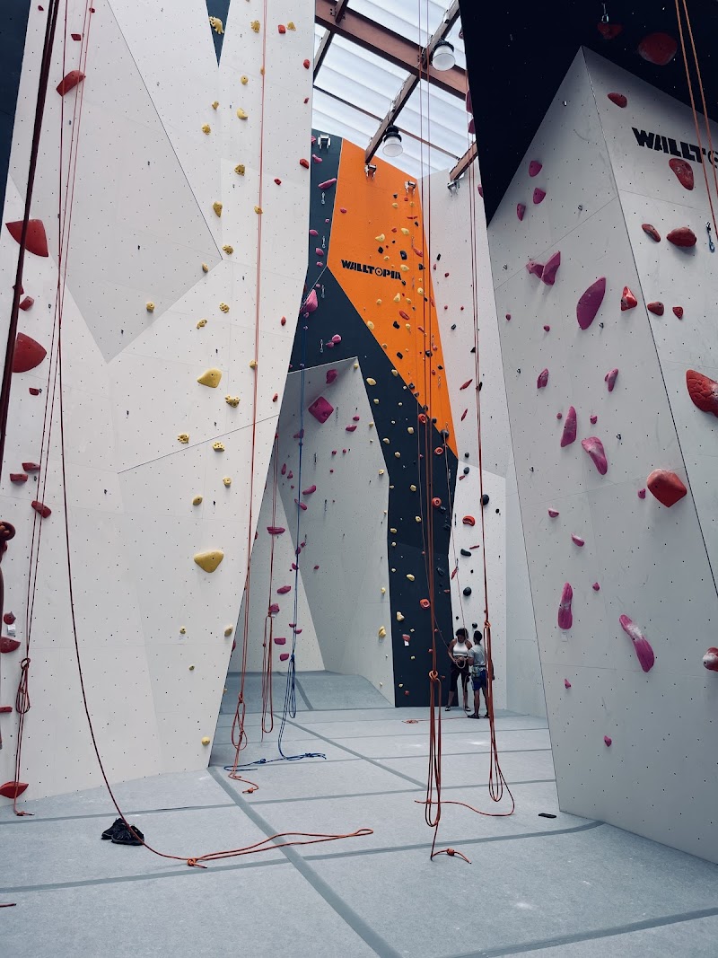 Cleveland Rocks Climbing