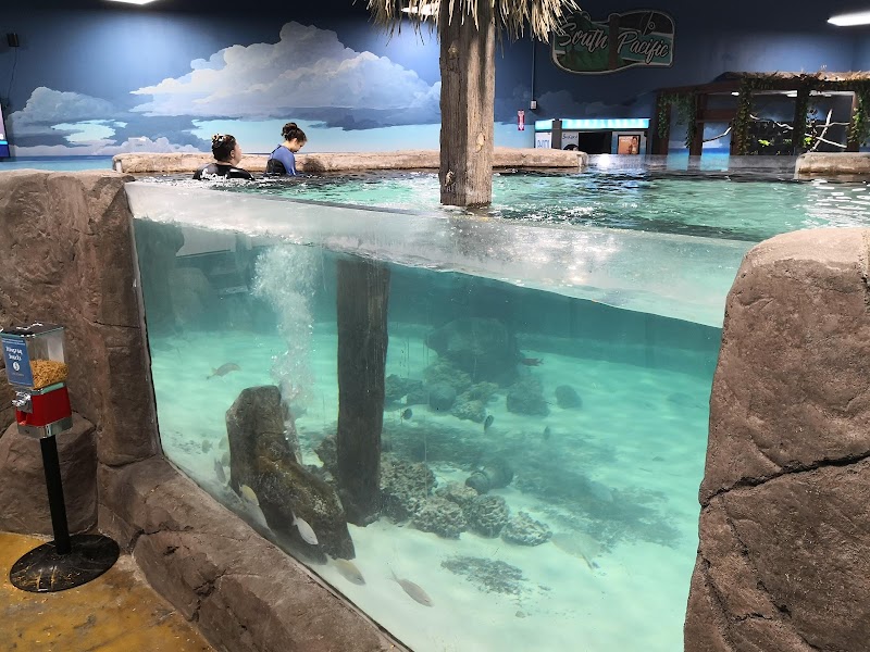 SeaQuest Folsom
