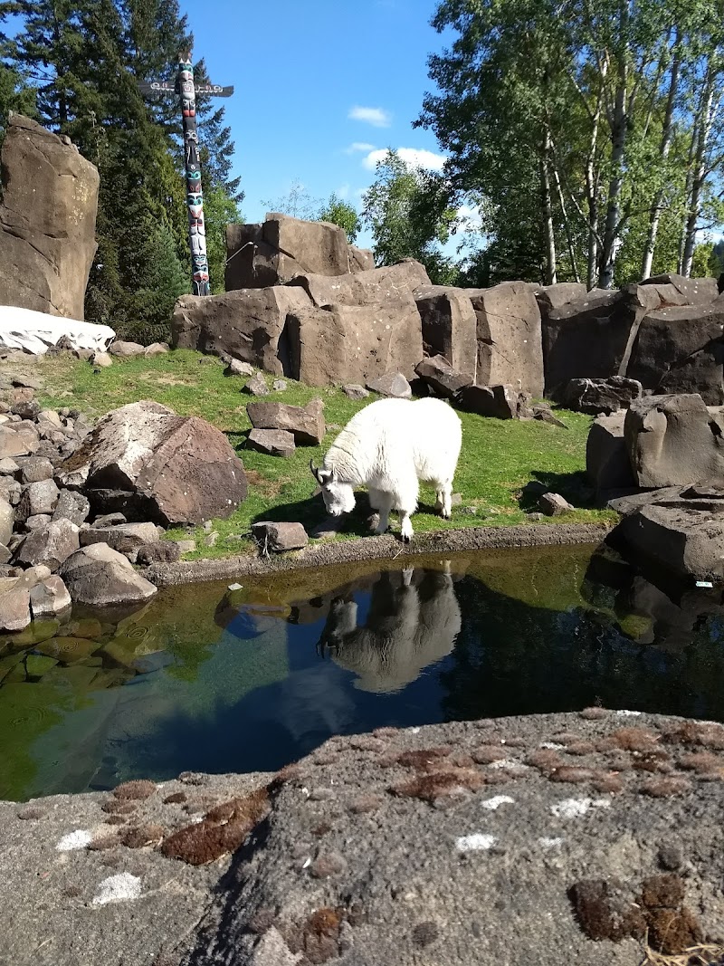 Cascade Crest — New Year's Eve Kids Activities in Portland