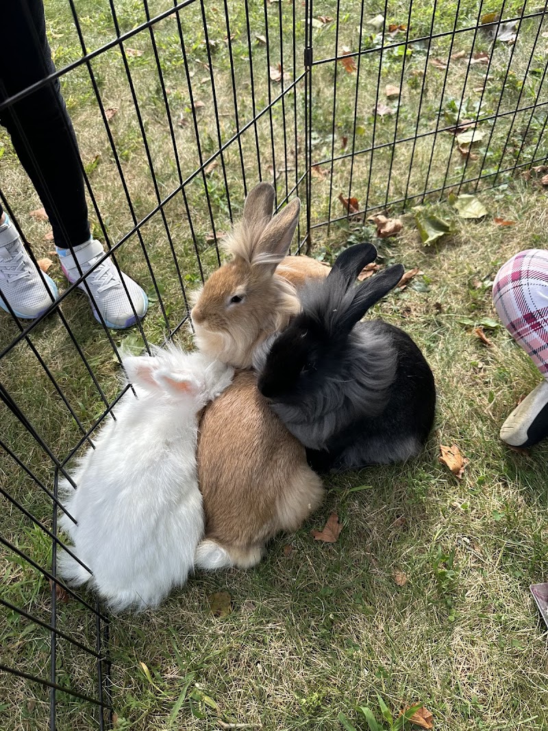 Warm & Fuzzy Animal Adventures Traveling Petting Zoo