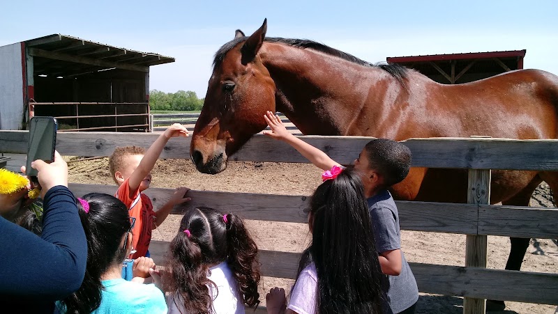 Oak Ridge Farm - Milwaukee Recreation