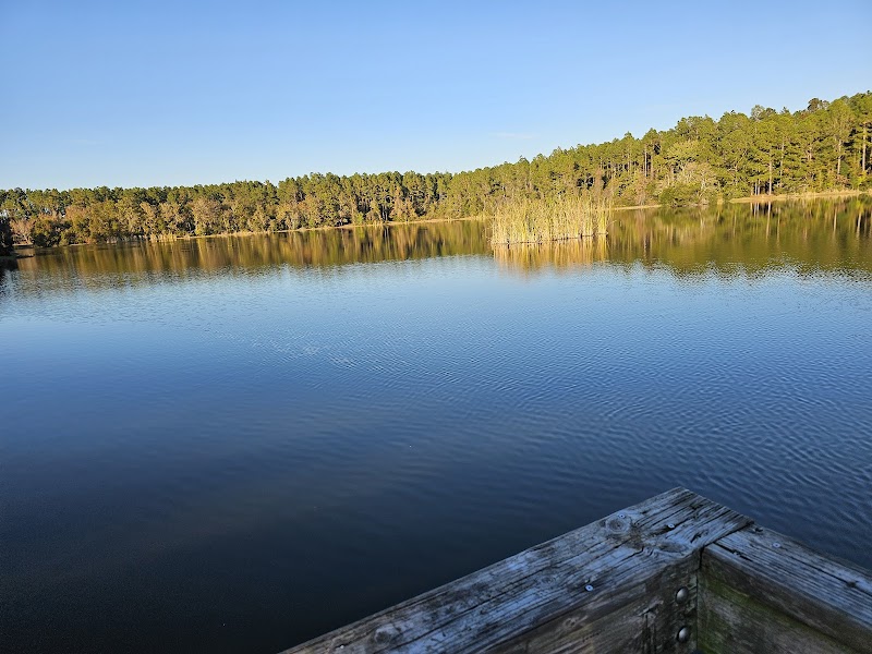 Playground — Best Outdoor Playgrounds in Jacksonville