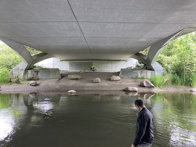 Burke Gilman Trail — Hiking with Kids in Seattle