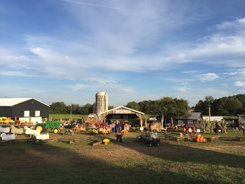 Crawford Farms Pumpkin Patch