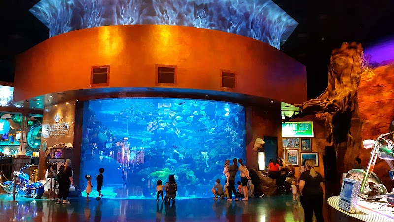 The Aquarium at Silverton Casino