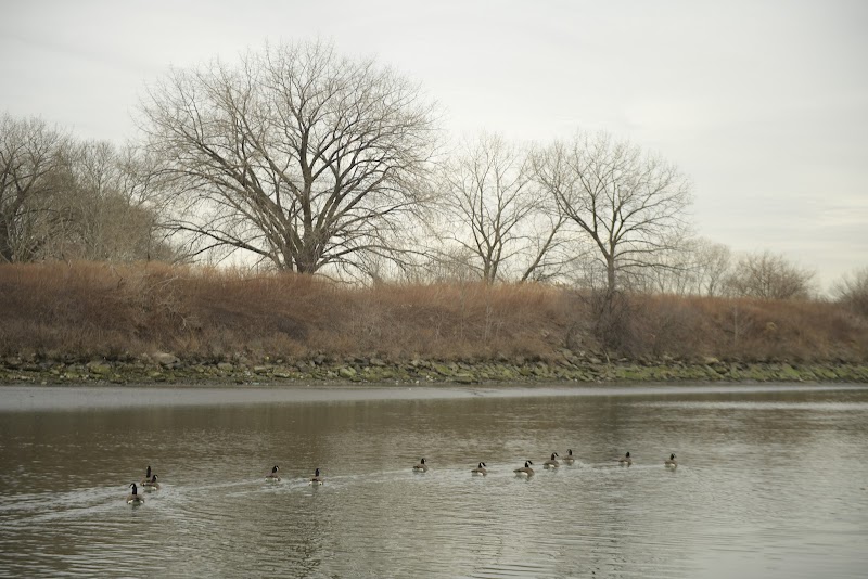 Hunts Point Riverside Park — Kayaking for Kids in New York