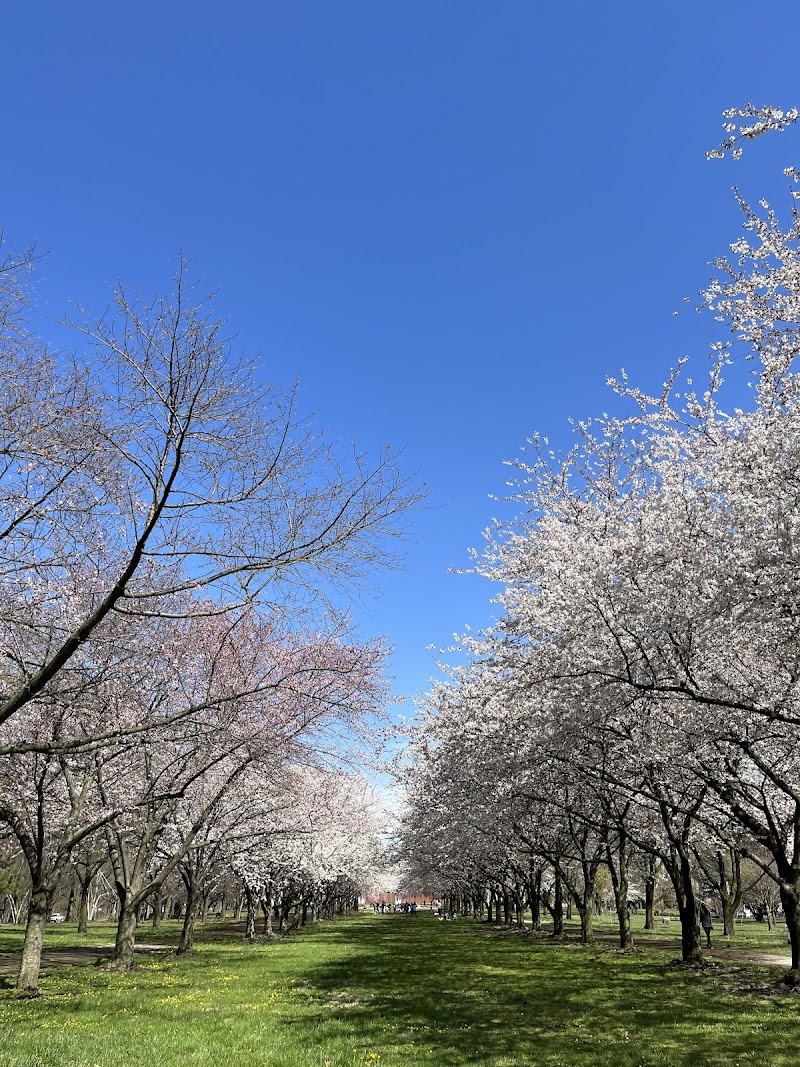 Fairmount Park Horticulture Center — Fall Festivals in Philadelphia