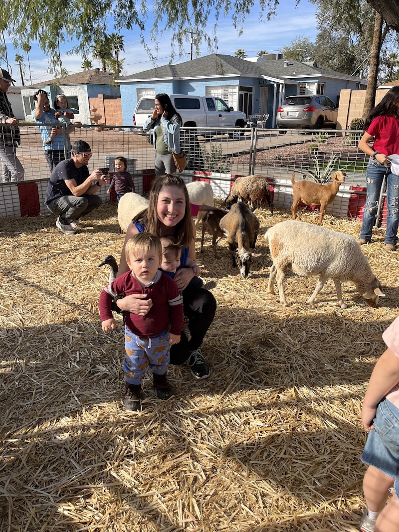 Freckle Farm Pony Rides & Petting Zoo (Mobile Service ONLY)