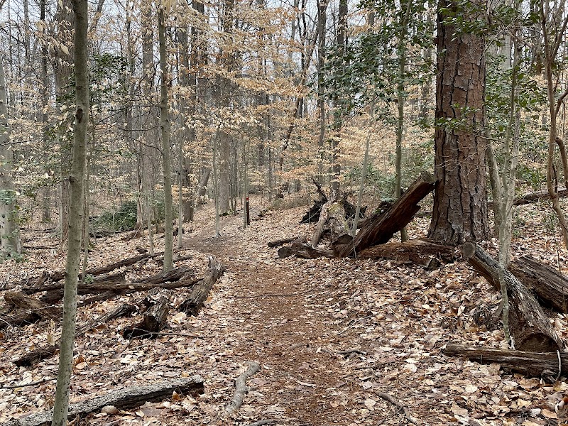 Larus Park Trailhead, South