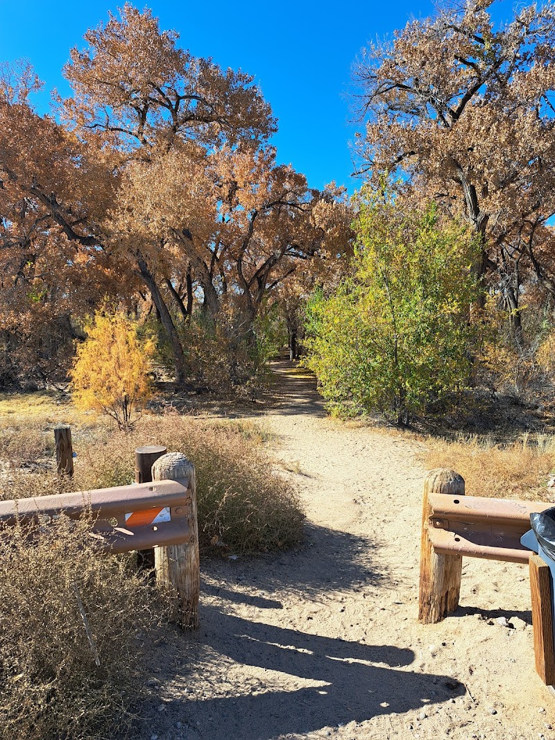 Tingley Drive Southern Bosque Trailhead — Hiking with Kids in Albuquerque