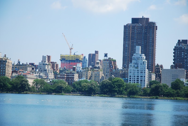 Oasis Day Camp in Central Park