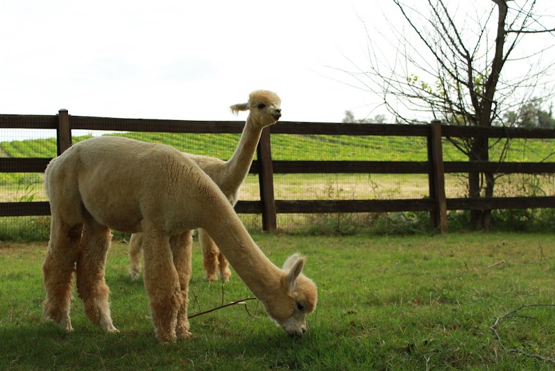 Baugher's Petting Zoo — Petting Zoos in Baltimore