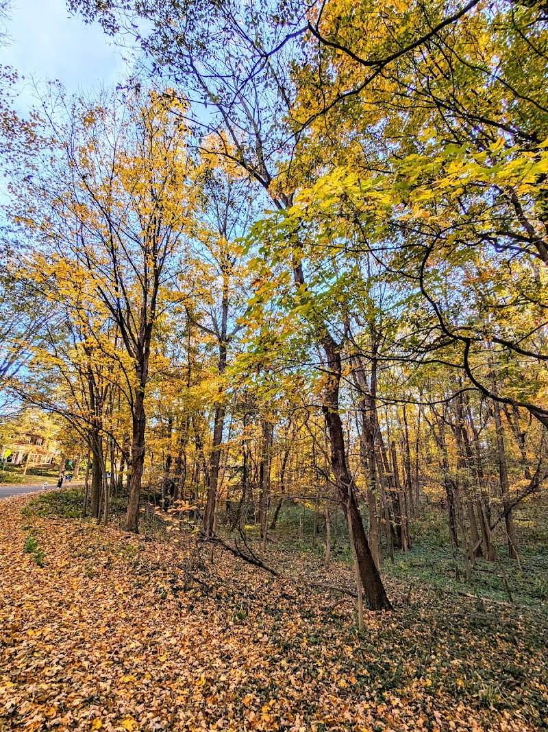 Cherokee Park Scenic Loop