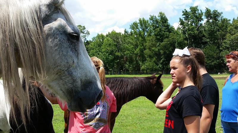 Bonnie Doone Farm by Jax Carriage