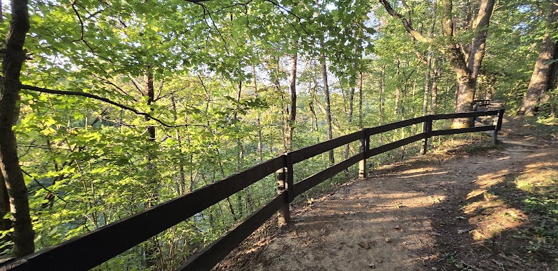 Big Beech Woods — Hiking with Kids in Louisville