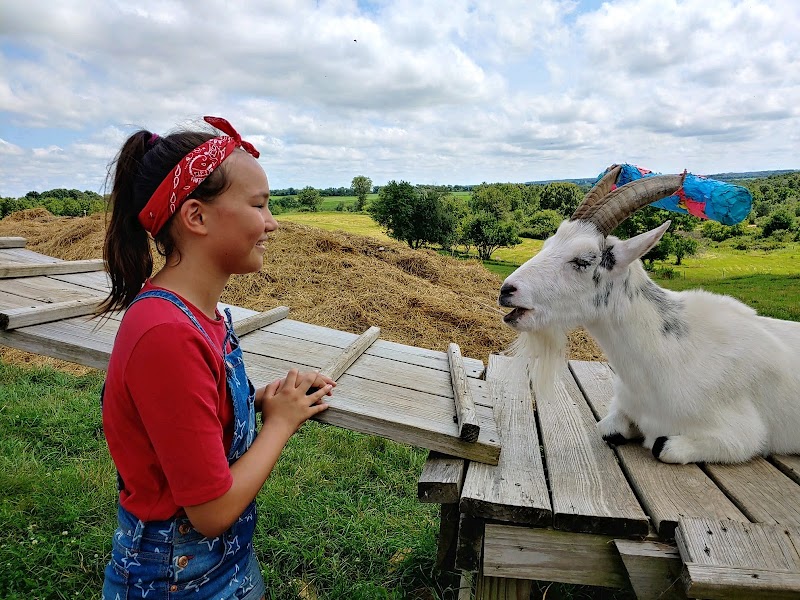 Heartland Farm Sanctuary — Petting Zoos in Madison