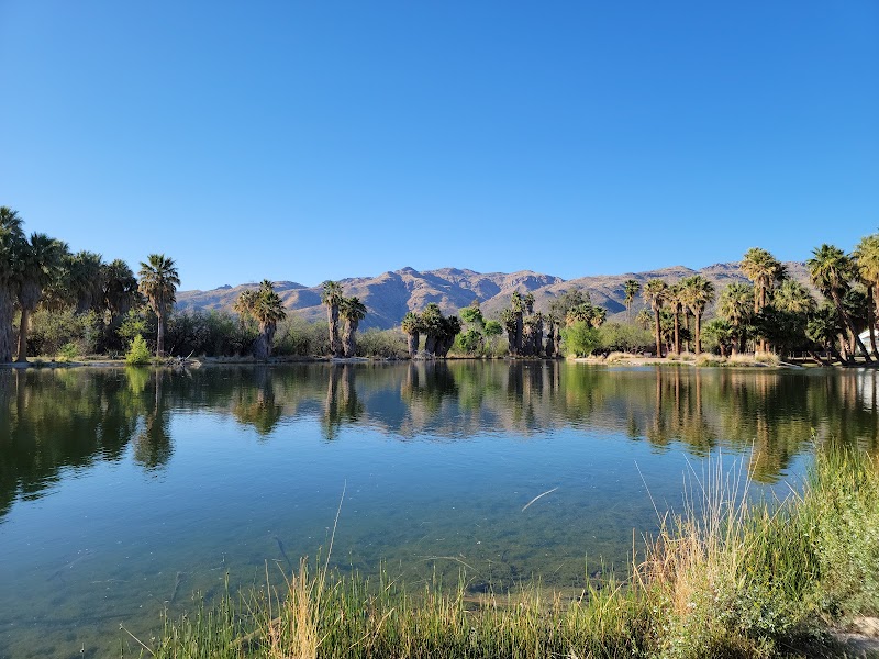 Agua Caliente Regional Park