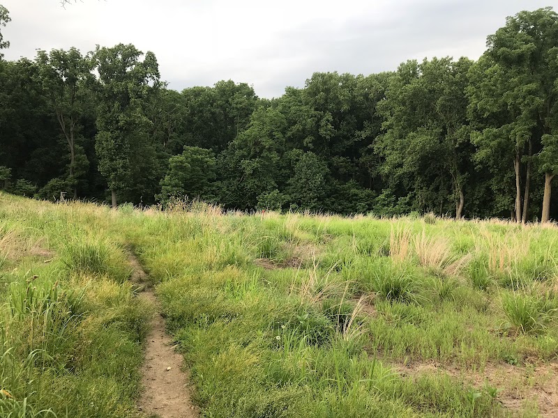 Andorra Meadow — Hiking with Kids in Philadelphia
