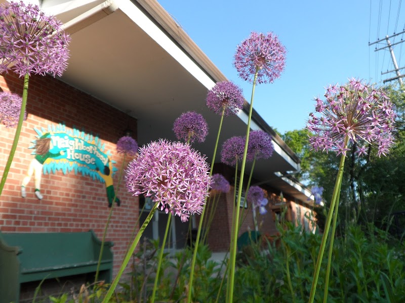 Neighborhood House Community Center