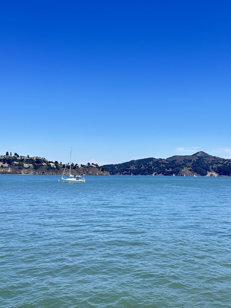 Sea Trek Kayak and SUP (Sausalito)