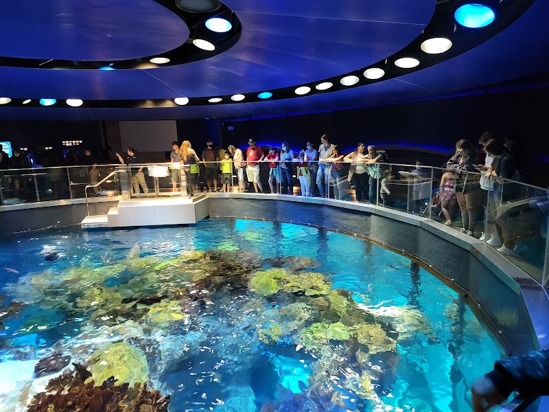 New England Aquarium