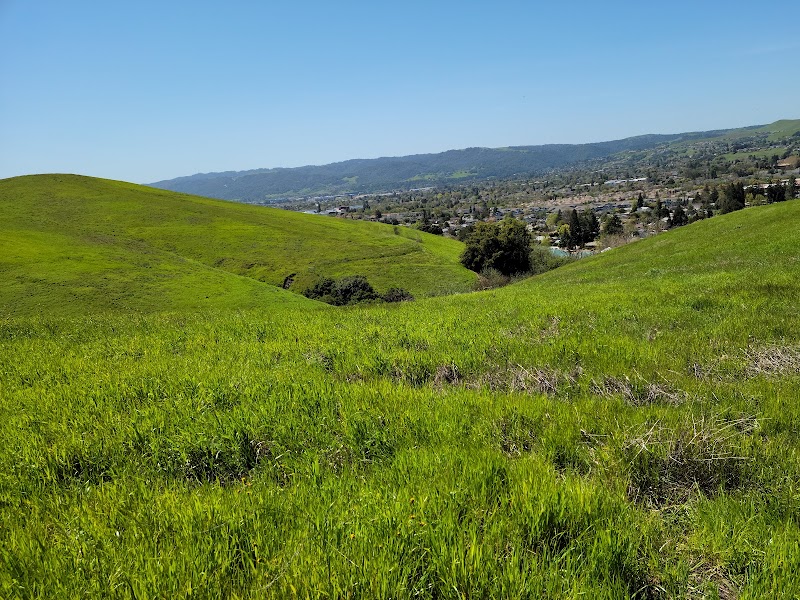 Old Ranch Park