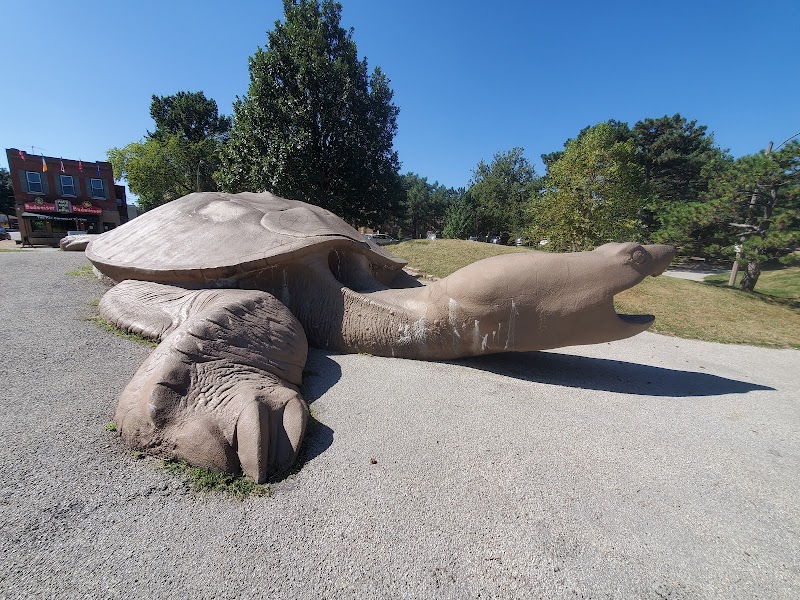 Turtle Playground — New Year's Eve Kids Activities in St. Louis