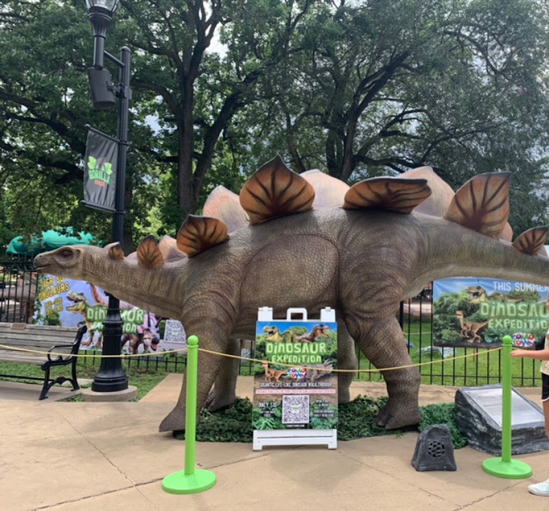 Gorilla forest