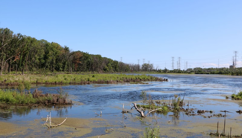 Eggers Grove — Hiking with Kids in Chicago