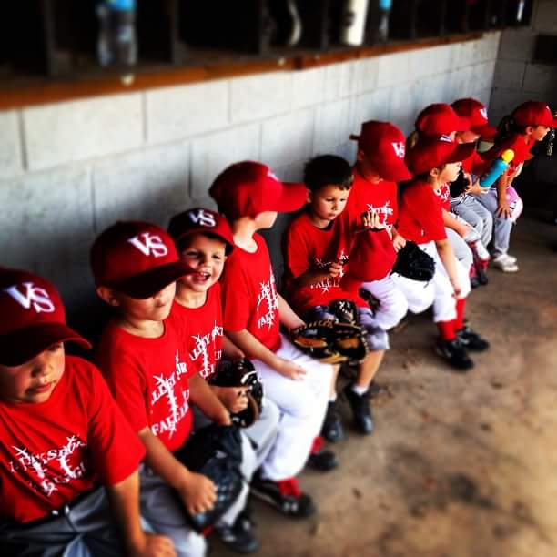 Valley Sports Little League