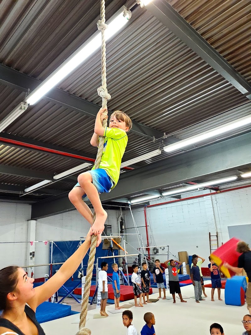 World of Discovery Summer Day Camp