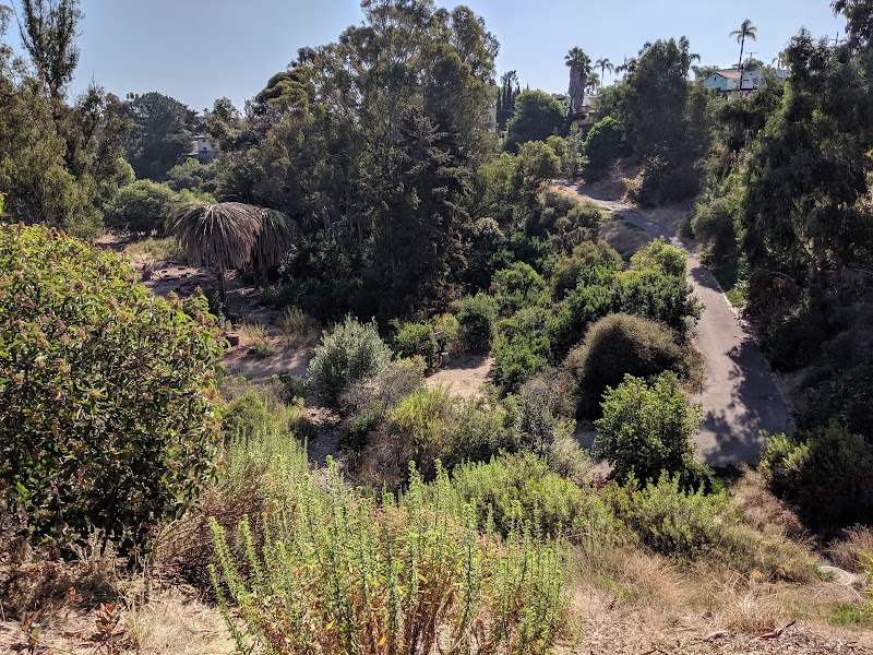 Switzer Open Space — Hiking with Kids in San Diego