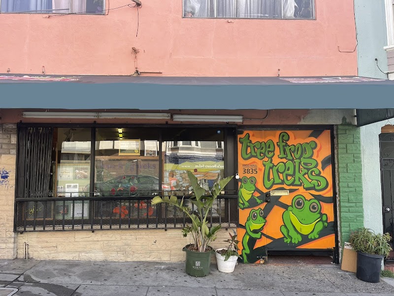 Tree Frog Treks — Summer Camps in San Francisco