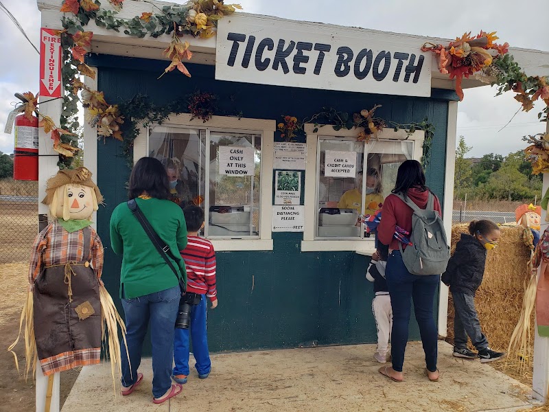 Pumpkin Station