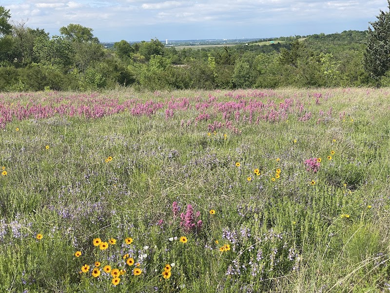 Tandy Hills Natural Area / Stratford Nature Area
