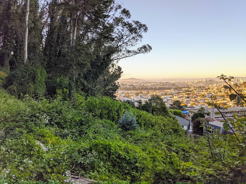 Interior Greenbelt — Hiking with Kids in San Francisco