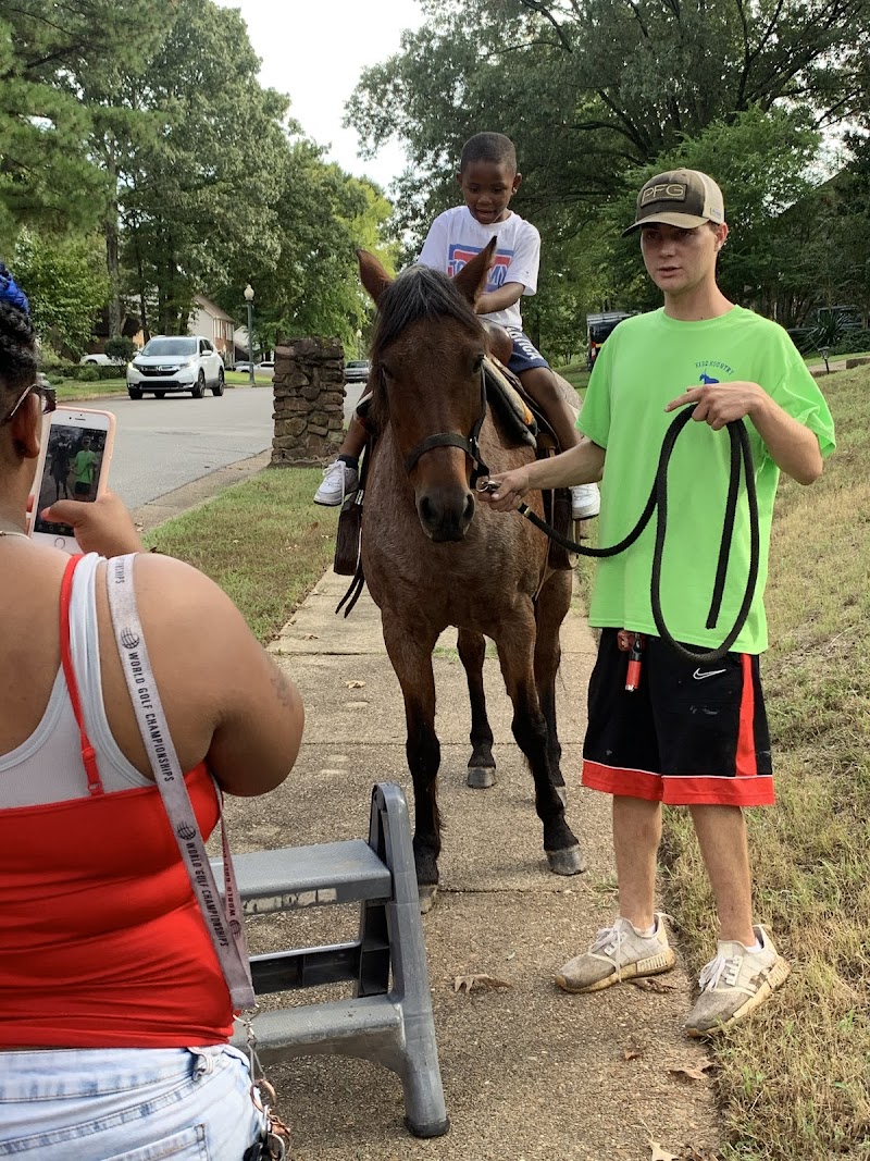 Kidz Kountry Petting Farm