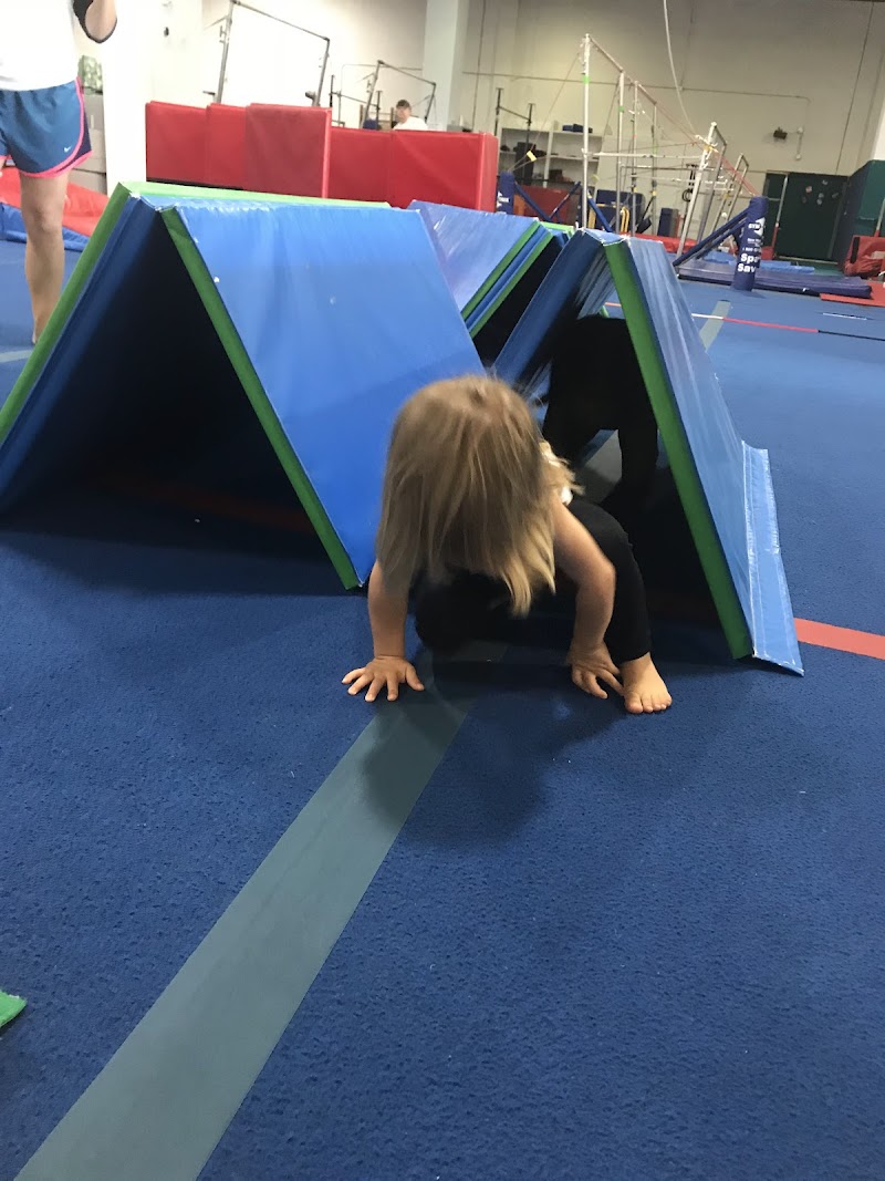 Tidewater Gymnastics Academy