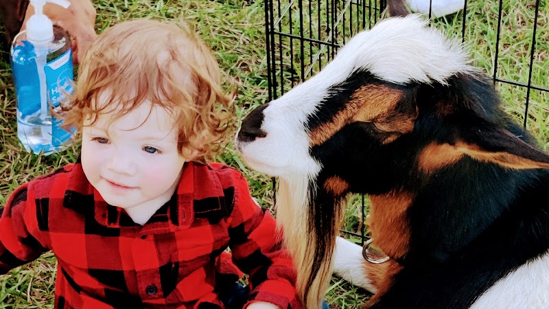 Noah's Ark On Wheels/Noah's Ark Farm Sanctuary