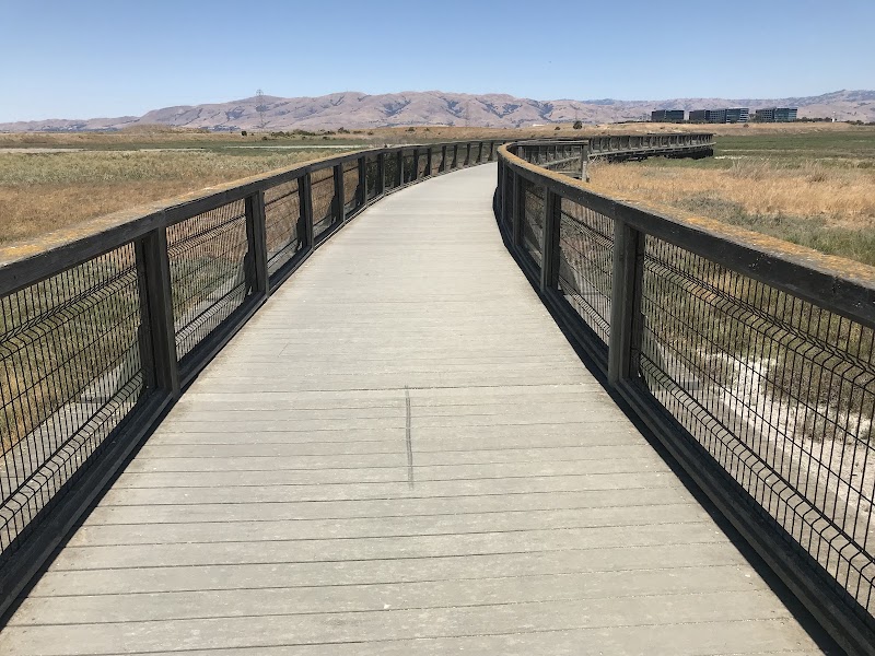 Baylands Park — New Year's Eve Kids Activities in Sunnyvale