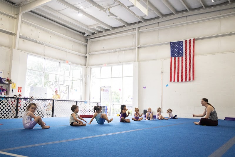 Bay Area Gymnastics