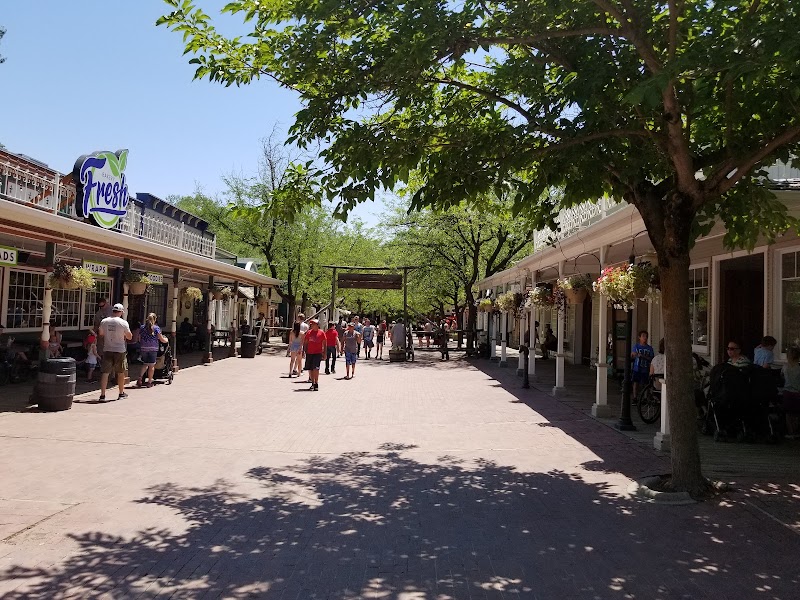 Pioneer Village