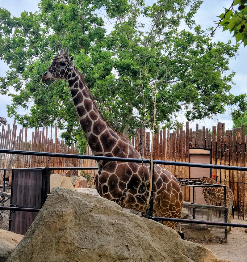 Albuquerque Zoo - Asia
